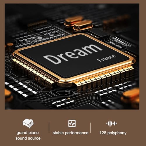 Tastiera pesata 88 tasti con supporto, pedale Sustain, pianoforte digitale con azione a martello, tastiera elettronica portatile di dimensioni standard con doppi altoparlanti, supporto Bluetooth MIDI : Amazon.it: Strumenti Musicali
