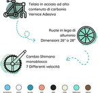 Versiliana Biciclette Vintage Resistene Perfetta