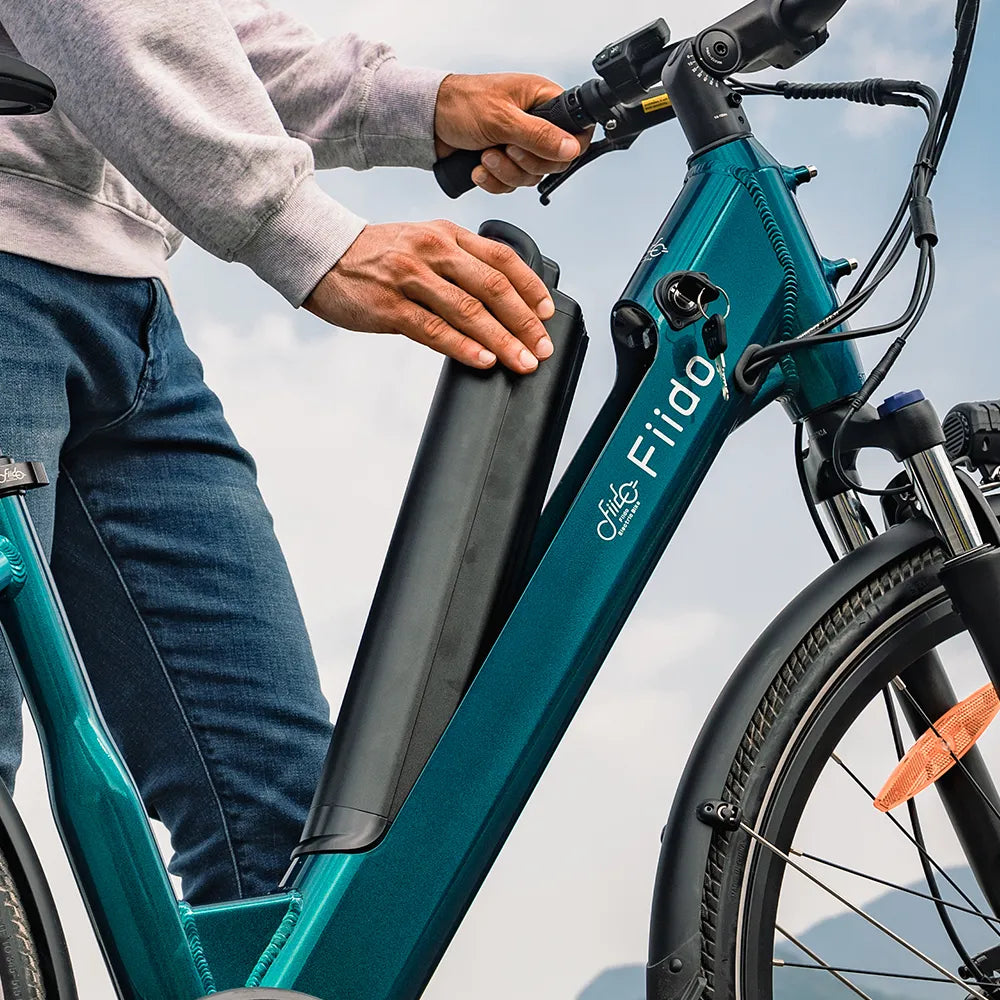 2025 Fiido C11 E-Bike urbano leggero