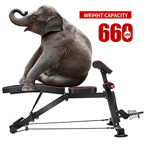 Panca per pesi regolabile, panca multiuso per allenamento di tutto il corpo, panca pieghevole per esercizi di inclinazione/inclinazione/declino, panca multiuso per palestra domestica (DZ) : Amazon.it: Sport e tempo libero