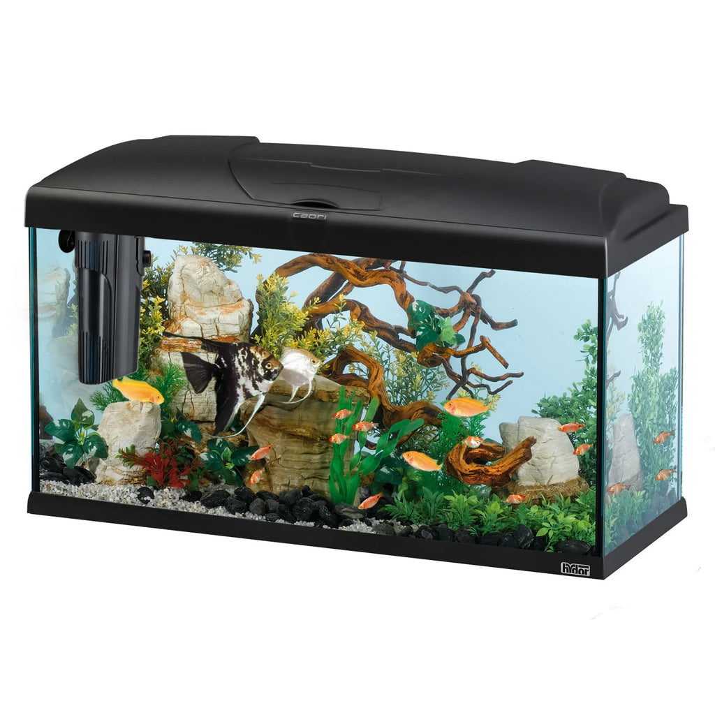 CAPRI 80 LED PLUS Acquario da 100 Litri – Illuminazione LED Avanzata e Sistema di Filtrazione BluWave