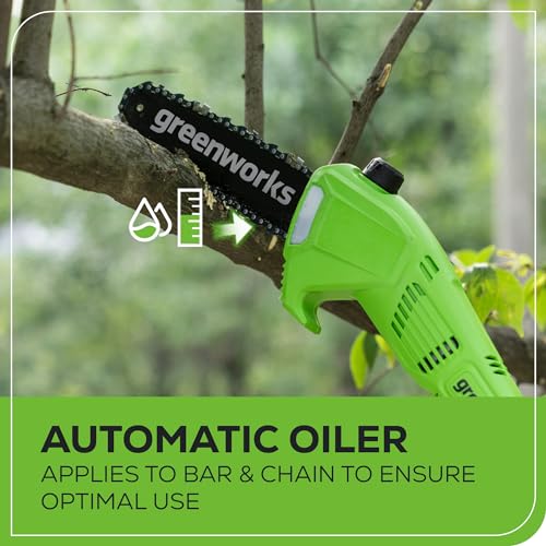 Greenworks 40V Sega e Tagliasiepi ad Asta a Batteria 2 in 1, Motore Brushless da 30 cm, Lama a Doppia Azione da 51 cm, Batteria da 2 e Caricabatterie GD40PSHK2x : Amazon.it: Giardino e giardinaggio