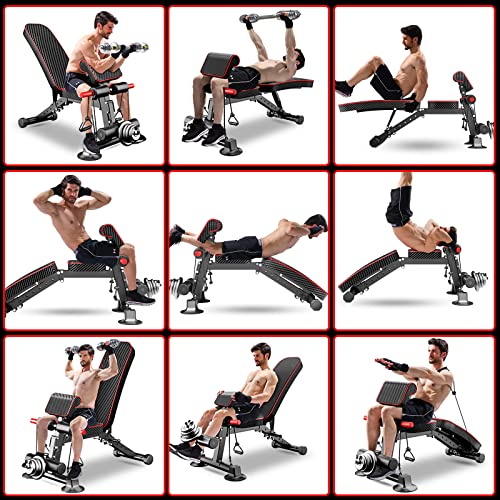 Panca per pesi regolabile, panca multiuso per allenamento di tutto il corpo, panca pieghevole per esercizi di inclinazione/inclinazione/declino, panca multiuso per palestra domestica (DZ) : Amazon.it: Sport e tempo libero