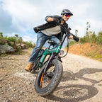 ENGWE EP-2 3.0 BOOST Bicicletta Elettrica Pieghevole, Batteria 48V 13.5Ah, Autonomia Fino a 120km, Coppia 75Nm, Freni Idraulici, Pneumatici 20"x4.0", Cambio 7 Marce, Connessione App