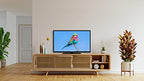 TELEFUNKEN Smart TV 32" HD Ready TE32553G54V4DAZ, TV LED 32 Pollici con Google Assistant Integrato, Compatibile con Google Home, Digitale DVB T2, Dolby Vision HDR10, Android TV, Dolby Audio : Amazon.it: Elettronica