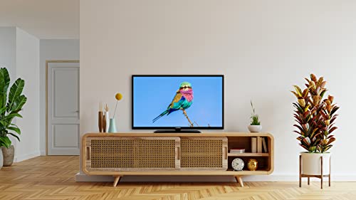 TELEFUNKEN Smart TV 32" HD Ready TE32553G54V4DAZ, TV LED 32 Pollici con Google Assistant Integrato, Compatibile con Google Home, Digitale DVB T2, Dolby Vision HDR10, Android TV, Dolby Audio : Amazon.it: Elettronica