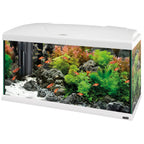 CAPRI 80 LED PLUS Acquario da 100 Litri – Illuminazione LED Avanzata e Sistema di Filtrazione BluWave