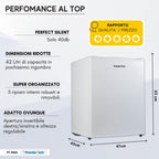 PremierTech Mini Congelatore, Freezer 42 litri, 4**** Stelle, Compatto, Da Tavolo, Risparmio Energetico, Porta reversibile, Bianco, PT-FR43
