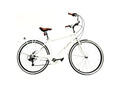 Versiliana Biciclette Vintage Resistene Perfetta
