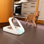 2025 Alimentatore automatico per animali domestici - Alimentatore per animali domestici con microchip - MPF001 - Adatto per alimenti secchi e umidi - Asciugamano per animali in omaggio eOutletDeals