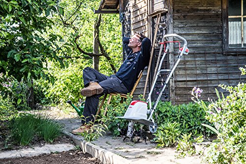 IKRA motozappa motocoltivatore elettrica FEM 1500, larghezza flessibile 17 45cm, incl. rincalzatore : Amazon.it: Giardino e giardinaggio