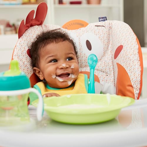 Chicco Polly 2 Start, Seggiolone Per Neonati Dalla Nascita A 3 Anni (15 Kg), Regolabile, 4 Ruote, Schienale Completamente Inclinabile In Sedia E Chiusura Compatta, color Happy Argento : Prima infanzia