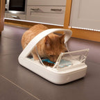 2025 Alimentatore automatico per animali domestici - Alimentatore per animali domestici con microchip - MPF001 - Adatto per alimenti secchi e umidi - Asciugamano per animali in omaggio eOutletDeals