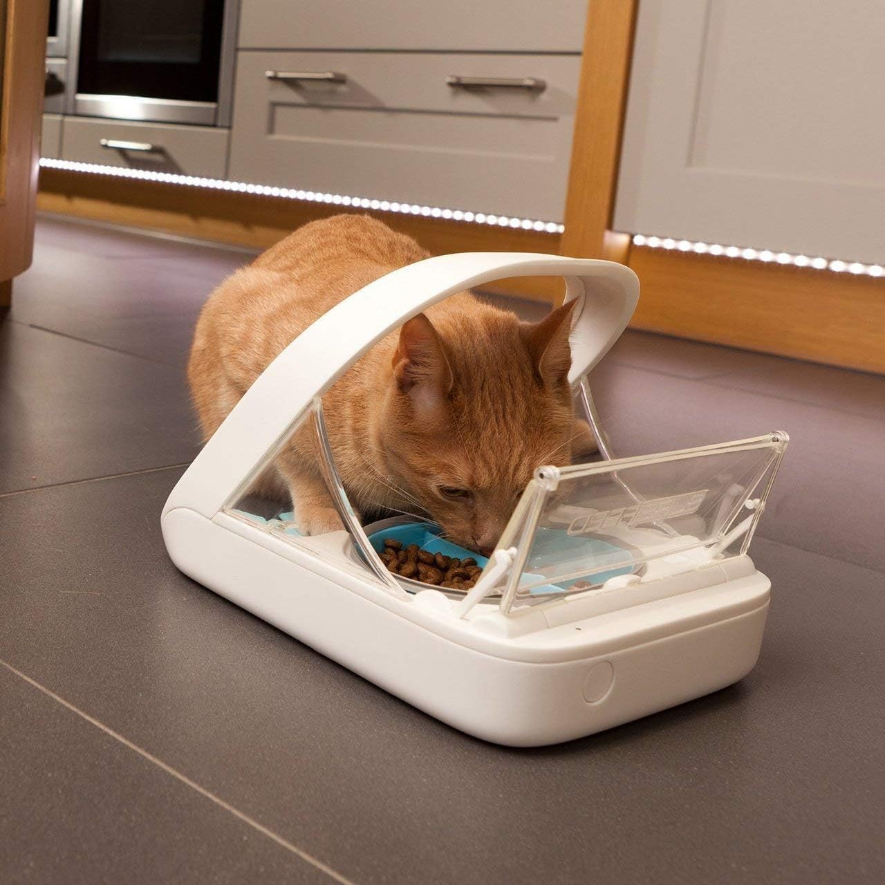 2025 Alimentatore automatico per animali domestici - Alimentatore per animali domestici con microchip - MPF001 - Adatto per alimenti secchi e umidi - Asciugamano per animali in omaggio eOutletDeals