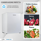PremierTech Mini Congelatore, Freezer 42 litri, 4**** Stelle, Compatto, Da Tavolo, Risparmio Energetico, Porta reversibile, Bianco, PT-FR43