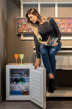 PremierTech Mini Congelatore, Freezer 42 litri, 4**** Stelle, Compatto, Da Tavolo, Risparmio Energetico, Porta reversibile, Bianco, PT-FR43