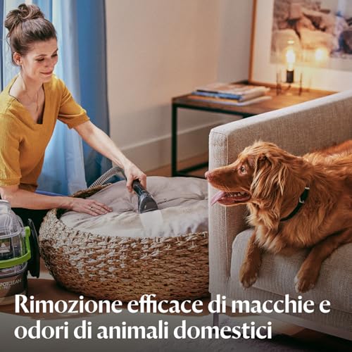 Bissell SpotClean Pet Pro, Lavatappeti, Pulitore Macchie, Ottimo per chi ha Animali Domestici, Lava Tappezzeria per Tappeti, Auto, Divani, Moquette, Materassi e Altro, Potente Motore da 750W, 15585 : Amazon.it: Casa e cucina