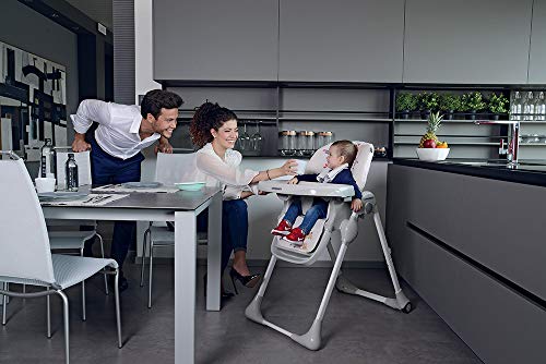 Foppapedretti Seggiolone Meeting, bambini da 6 mesi a 3 anni (fino a 15 Kg), Seduta/Poggiapiedi/Schienale Regolabili, Cesto Porta Oggetti, Stabile e Confortevole, con Imbottitura Lavabile, Teddy : Prima infanzia