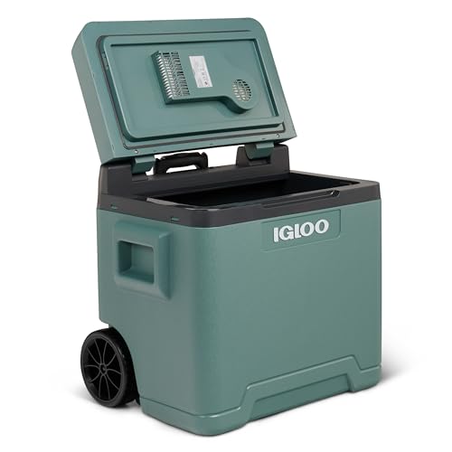 IGLOO IE42 Frigorifero Portatile Elettrico per Auto e Presa Elettrica, 42L, 12V e 230V : Amazon.it: Grandi elettrodomestici