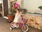 PROMETHEUS BICYCLES bicicletta bambina 4 anni bici per bambini bici bambina 14 pollici bimba con rotelle e freno contropedale Rosa : Sport e tempo libero