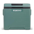 IGLOO IE42 Frigorifero Portatile Elettrico per Auto e Presa Elettrica, 42L, 12V e 230V : Amazon.it: Grandi elettrodomestici