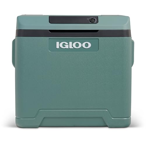 IGLOO IE42 Frigorifero Portatile Elettrico per Auto e Presa Elettrica, 42L, 12V e 230V : Amazon.it: Grandi elettrodomestici
